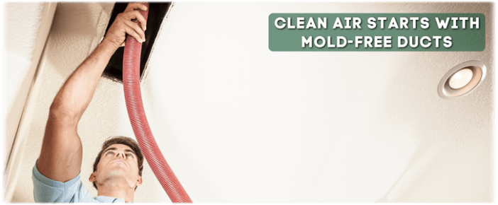 Air Duct Mold Removal in Providence