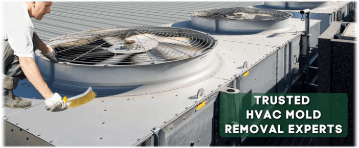 HVAC Mold Removal Providence